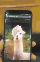 原创搞笑gif:哎呦妹子,你家冰箱到底经历了什么