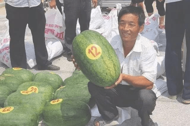 [我国]不如现在好吃却让人迷恋，这是为何？，西瓜那些年少有人知的历史