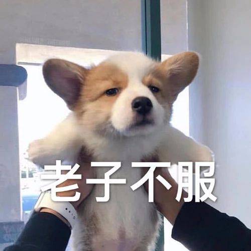 7b27662092b544458396e5eb4c453fb3.jpeg