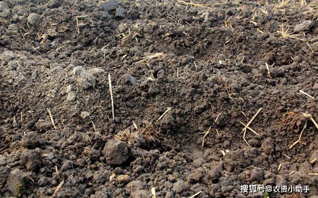 矿源纯黄腐酸钾,矿源供应黄腐酸钾粉好用吗?