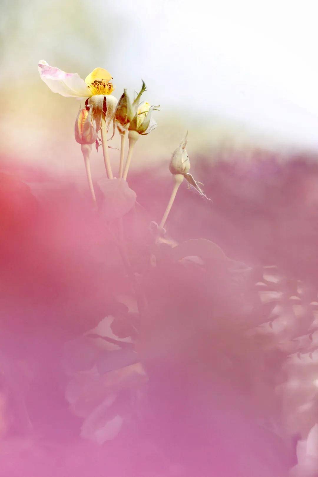 b5437fc6a8aa4ea8b578511dce5ceed2.jpeg