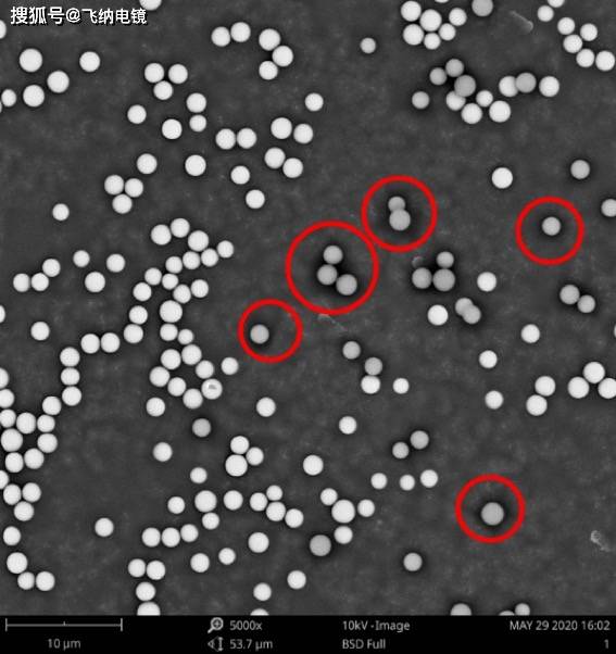 发挥创造力 —— 用扫描电镜软件统计粉体包覆率