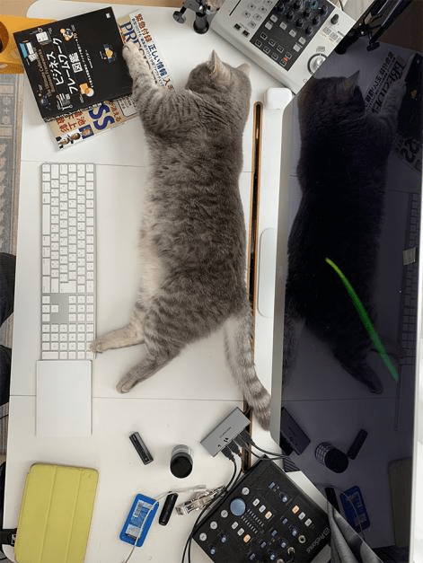 fe0133f288b448e9a285224e51c956c7.png