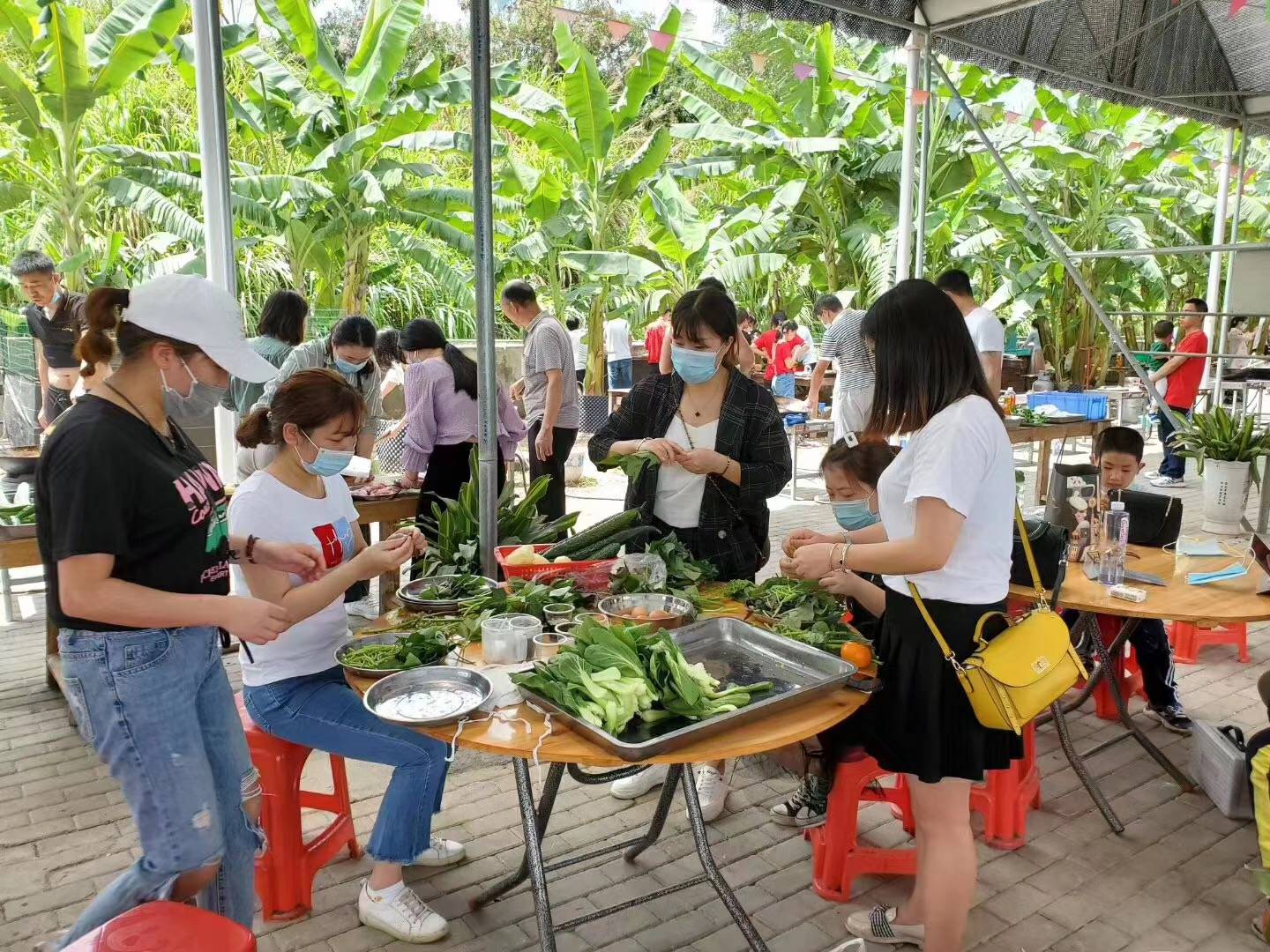 深圳周末农家乐出游 休闲一日游 蓝美生态农业园 真人cs 野炊/烧烤