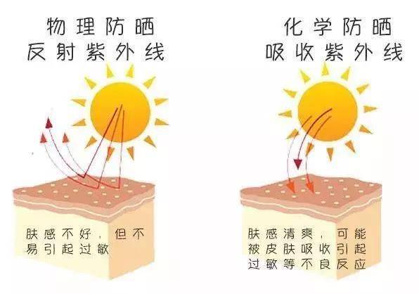 防晒霜的类型 · 物理防晒和化学防晒对比 · 如何挑选适合自己的