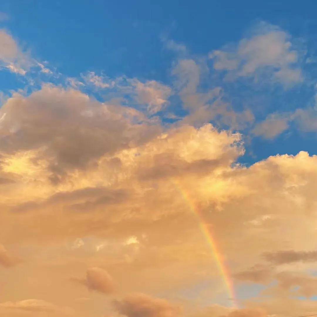 知识科普|关于为学生提供升学指导、职业规划及背景优化的服务优势介绍【Ruicy Studio】