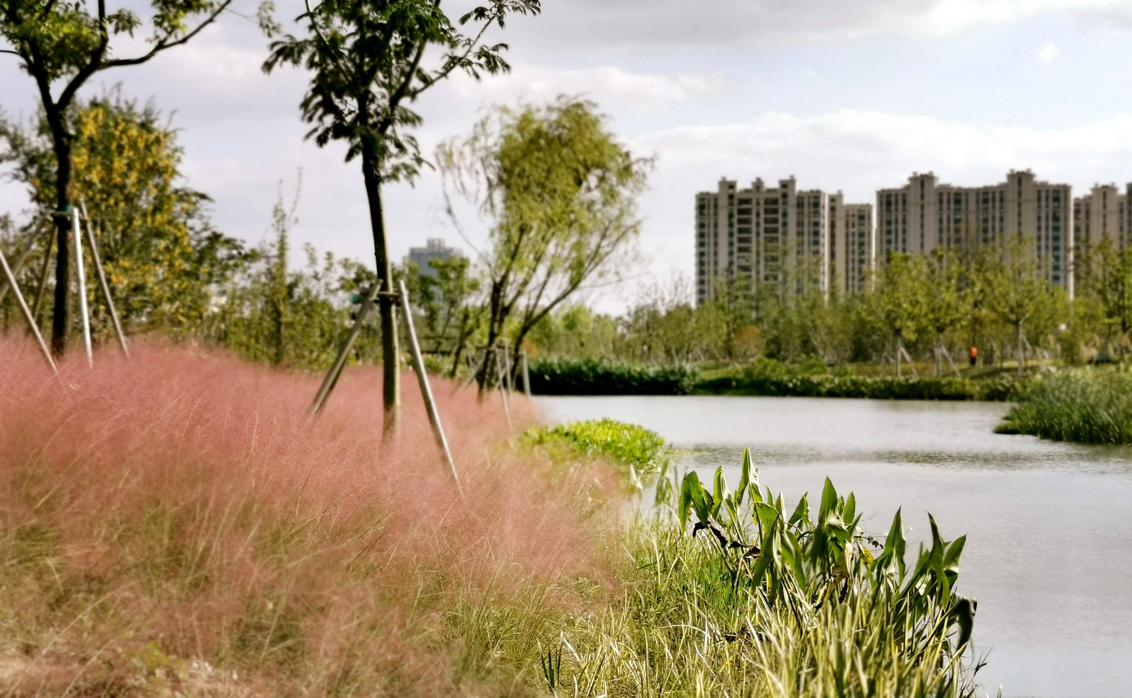 原创常熟这座城市公园,生态环境好,景色优美,成为市民们休闲佳地