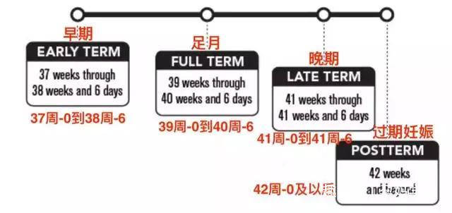 宝宝|胜过在外面十天足月37周和40周有差别吗?医生:肚里多呆一天