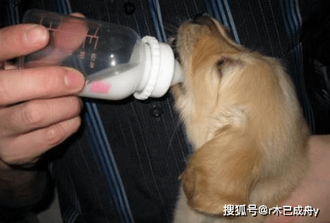 b2a0f9666bc7400a8206b82a1b6699ab.png