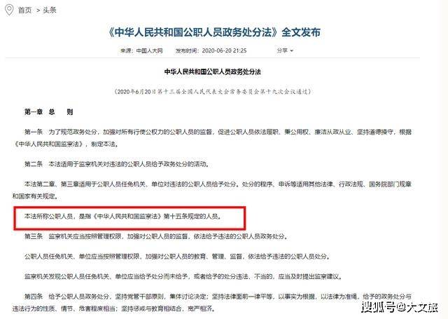 国有企业的总监,副总监注意:公职人员政务处分法跟你们也有关系