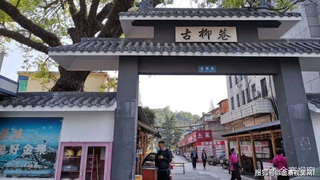 什么柳巷成语(2)
