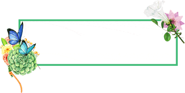 这里蝴蝶纷飞~美翻啦!