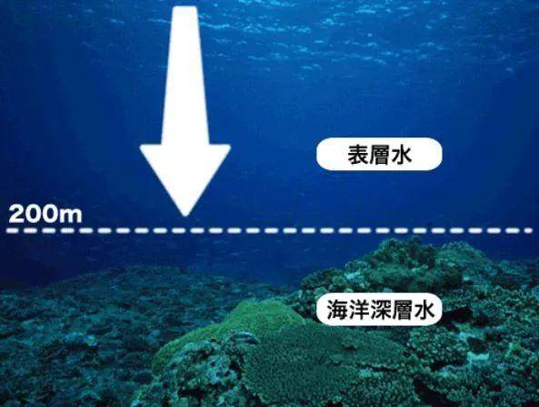 华高莱斯丨产业观察:海洋深层水产业化的摇篮—高知县室户市