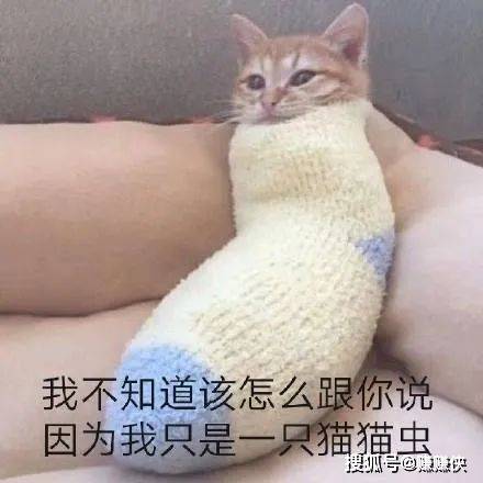 可爱表情包图片:在吗我的小宝贝