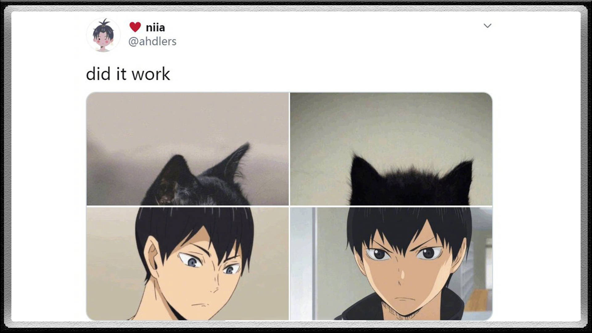 原创推特动漫人物猫耳拼图活动排球少年中的他却带上了鸡冠头
