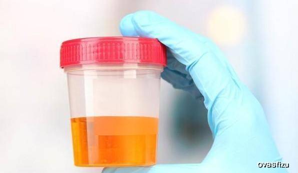 什么是电解质水怎么做 b3bca2d16766416eb1c7a08bbc0ddc95.jpeg