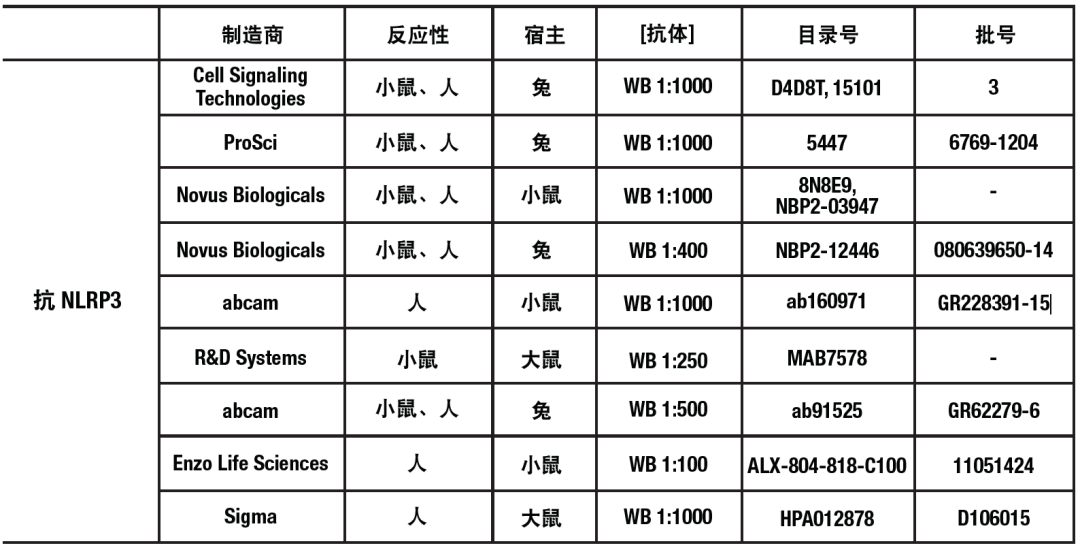 阳性人口_人口普查