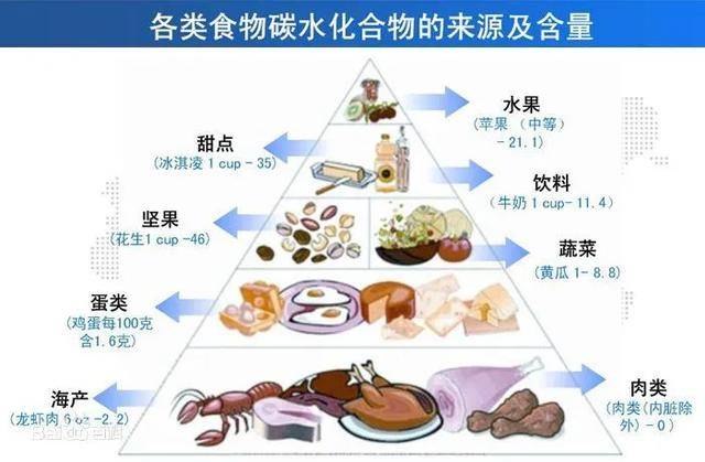 每周营养素丨碳水化合物