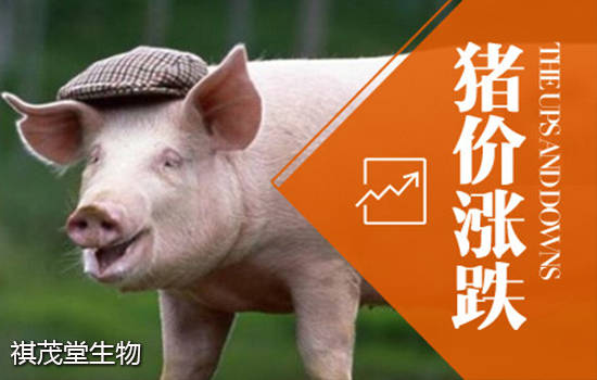 今天生猪价格涨跌如何？ 2020年5月25日全国生猪价格表
