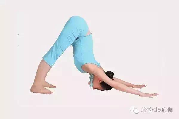 神奇的瑜伽体式 初级拜日式 分步骤练习你会觉得很简单