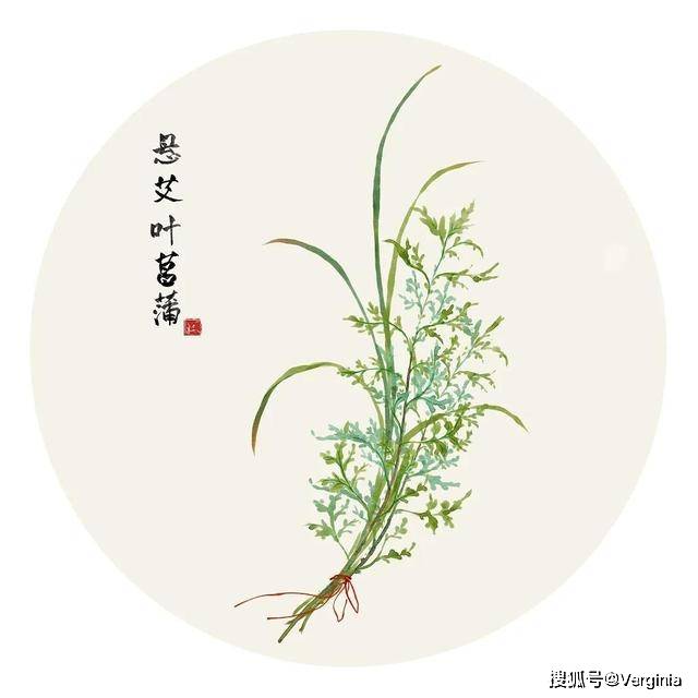 悬艾叶菖蒲 hanging mugwort and calamus