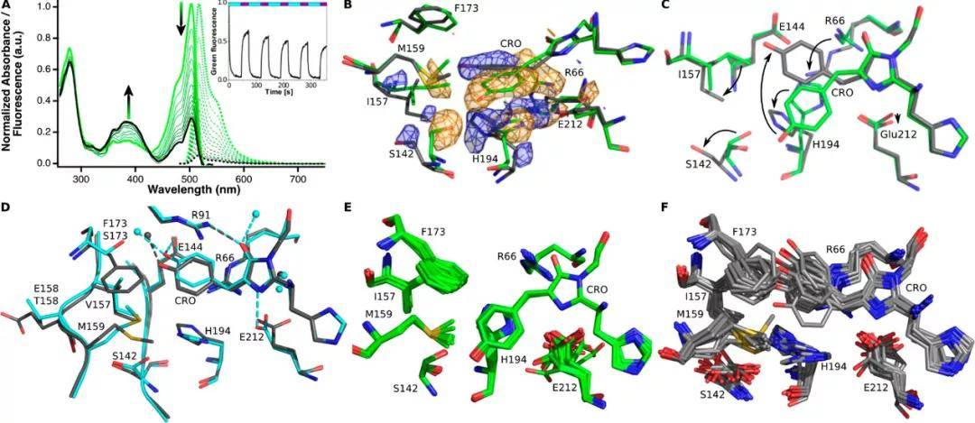 jacs分子动力学揭示绿色荧光蛋白meos4b的发光机制