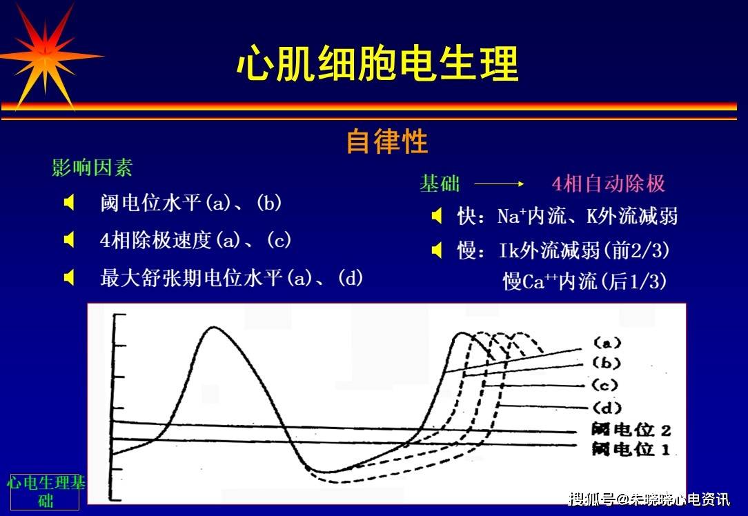 心脏电生理学基础