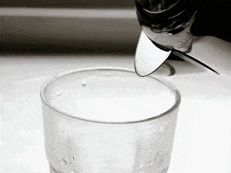 515efbbf7fd748869d24a9b086e32d39.gif