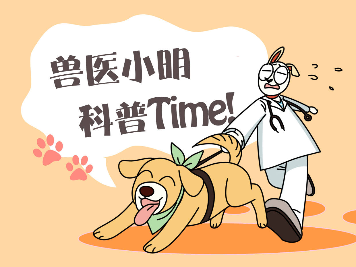 手提袋被丢在街头,上面还盖了张毯子,女子掀