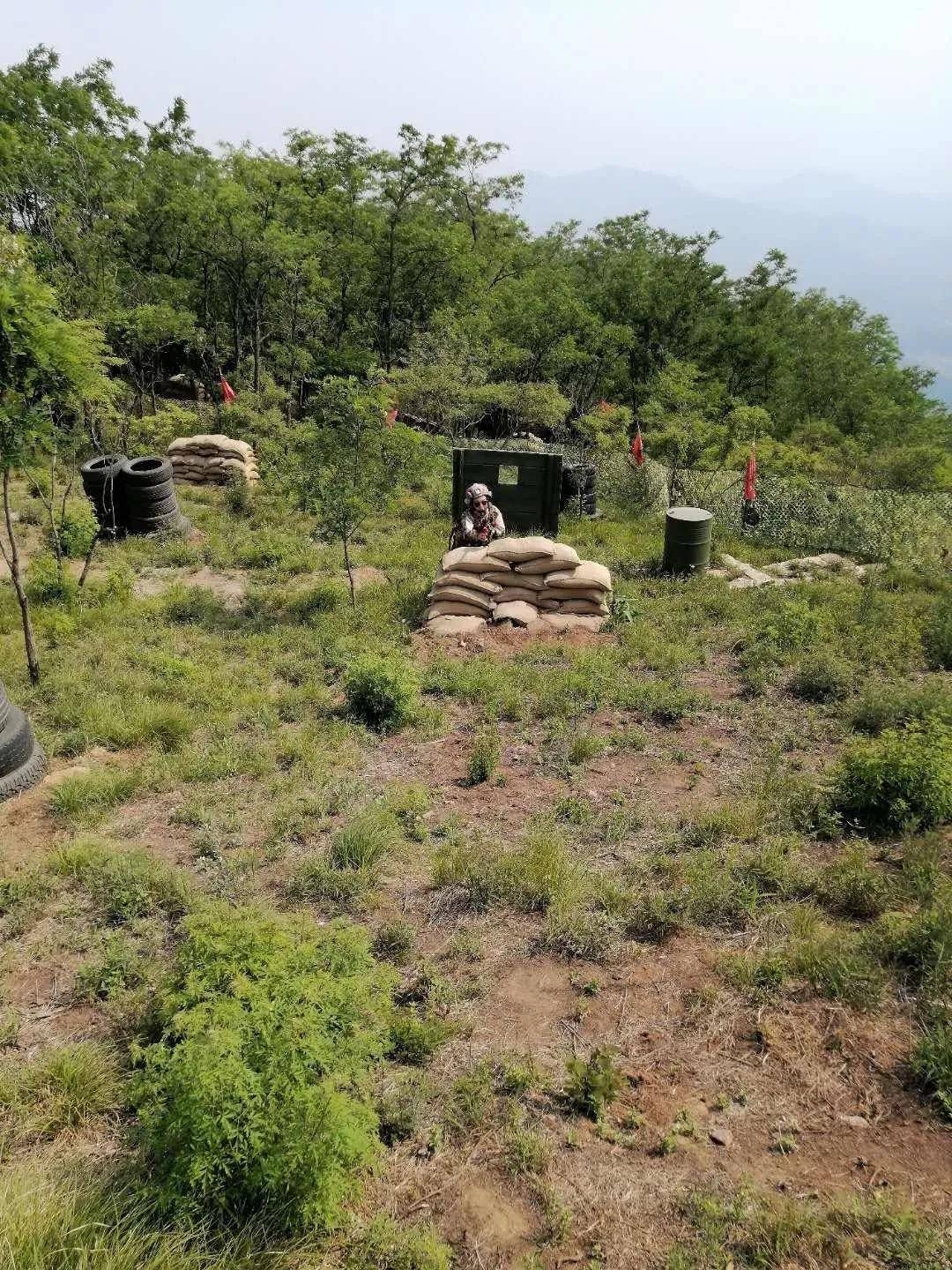 迪山云顶风景区门票