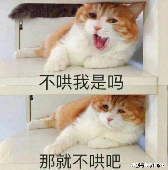 看看你生的气有多毒,心疼吵架慢半拍的人