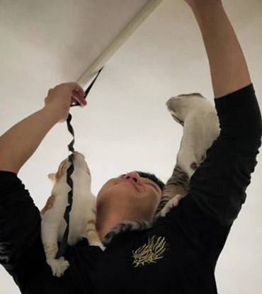 电路|两只猫咪齐刷刷跳上身,喵:我看看在干啥呢电工小哥在修电路