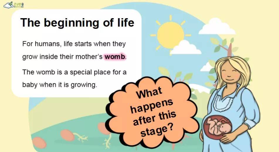 different stages of life