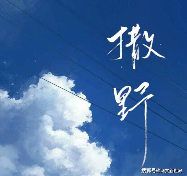 原创 撒野:巫哲到底有多细心,连读者的评论时间都观察得很细致