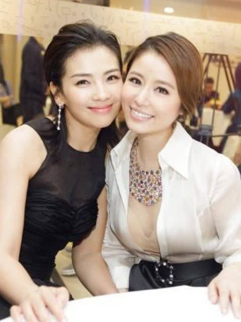 刘涛在跟林心如合影的时候,明显一副你是我好姐妹的样子,两个人的合影