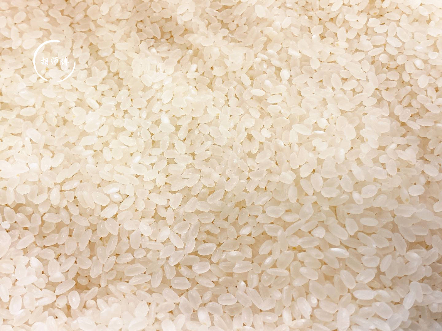 大米怎么放才会发芽 9616691586874001bcb08043d3c4ccd7.jpeg