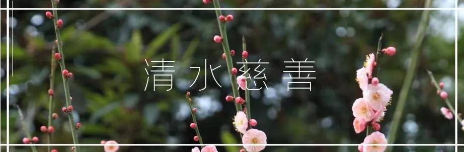 清水慈善资助过的高考“过来人”为今年学子加油！