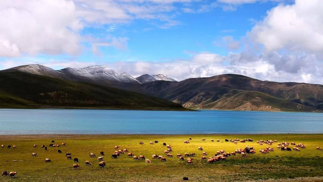 美图|“中航盈富杯”中国证券界精准扶贫摄影大展作品欣赏（二）