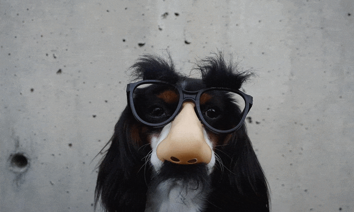 topaz mask ai for mac(人工智能ai抠图软件)功能介绍