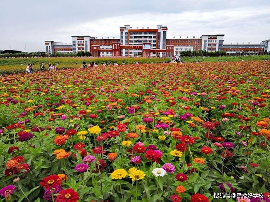 是学校见证了学生成长,还是学生见证了学校的建设—七台河一中