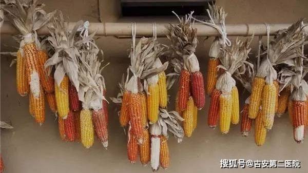 吃粗粮对身体好？吃错等于自毁健康！