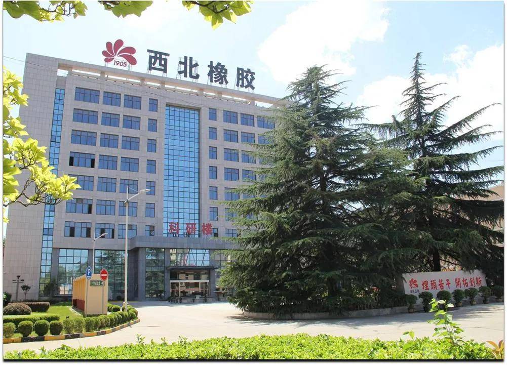 龙珠体育延长橡胶：目标收入60亿！(图1)