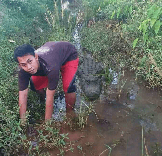 原创
幽默笑话,晚自习时班里一男生偷溜出去打球,班主任知道了