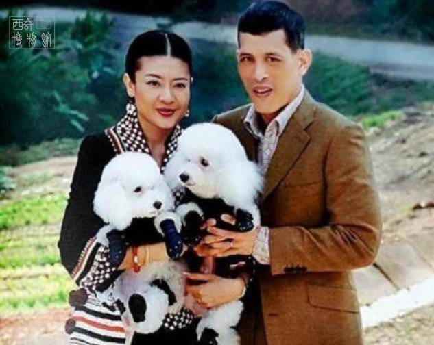 泰国国王玛哈的宠物狗"福福"有多幸福?获封元帅,王后为其献舞