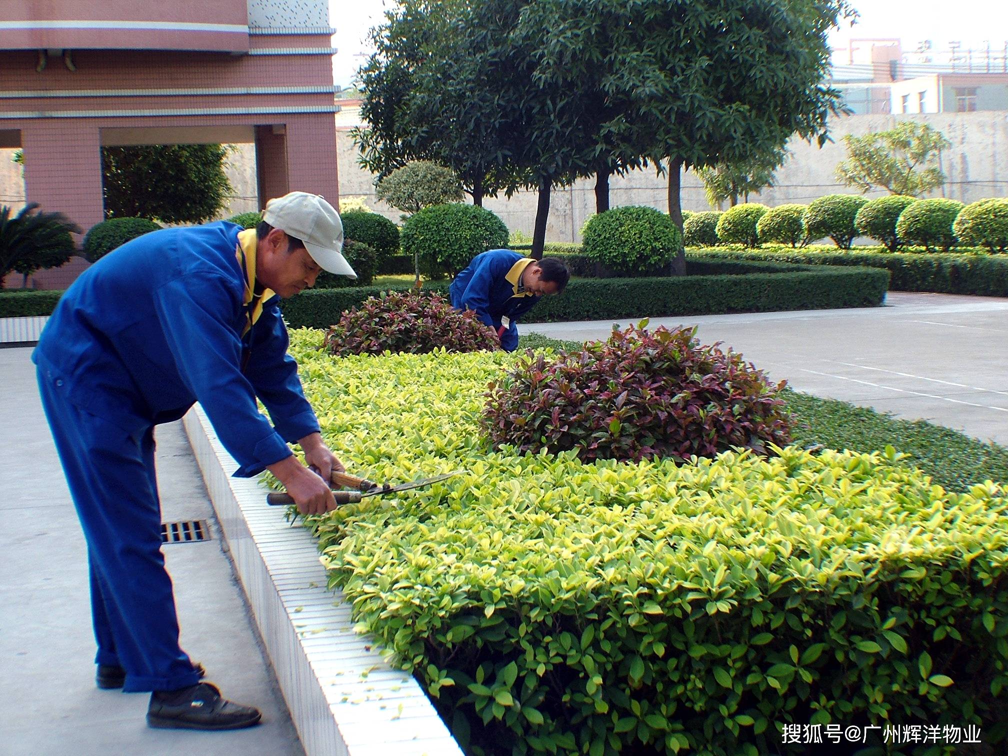 反季节园林种植的技巧是什么,广州园林绿化公司有妙招