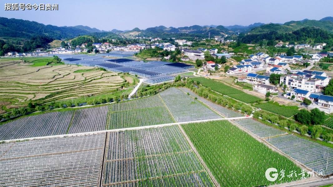 遵义花茂村农业产业示范基地(李仁军 摄)