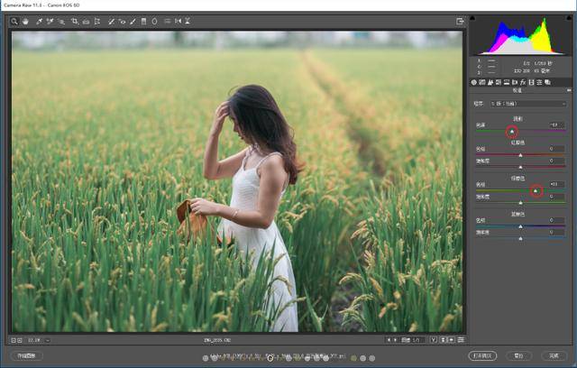 色调|探图摄影师专栏｜如何调整出一张“色调较强的低饱和”照片