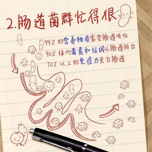 国医堂专家:肠道是人体最大的排毒器官,懂得"肠寿"才能长寿