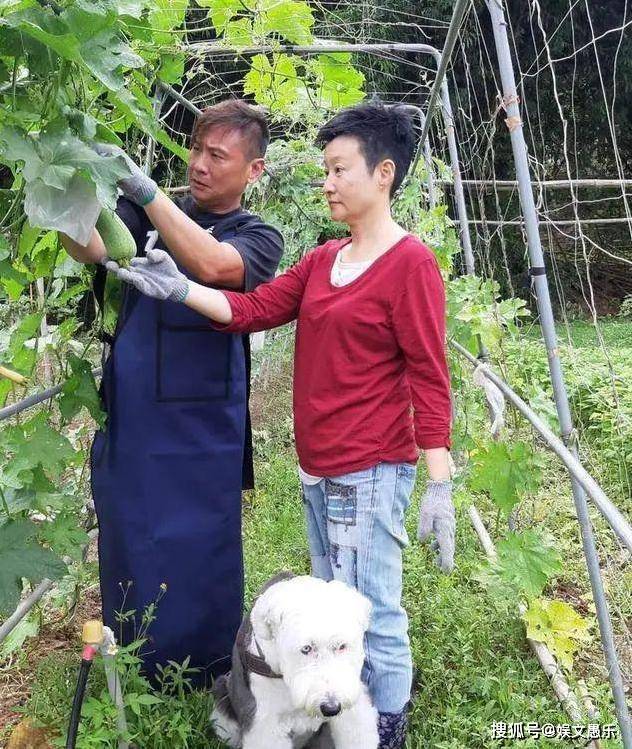 从玩世不恭到戏精，演技让胡歌都敬佩，54岁却落