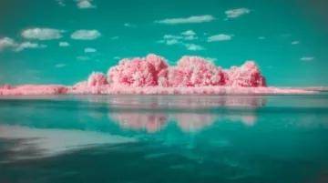 调剂|高考志愿“服从专业调剂”，是填？还是不填？